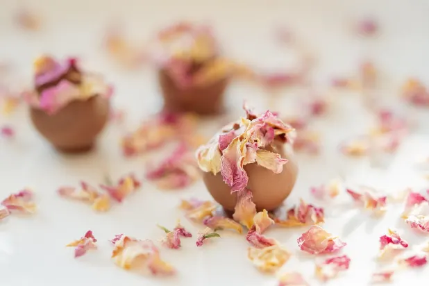 Tusk Casino Aplicación Android/iOS